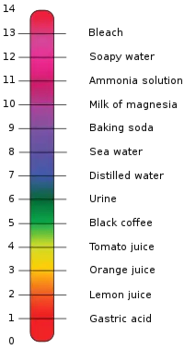 Acid Base : 酸碱