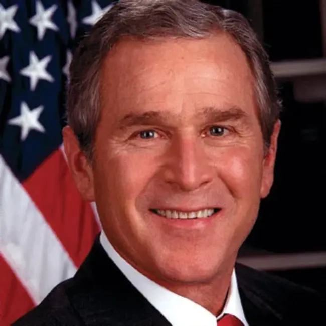 George W : 乔治W