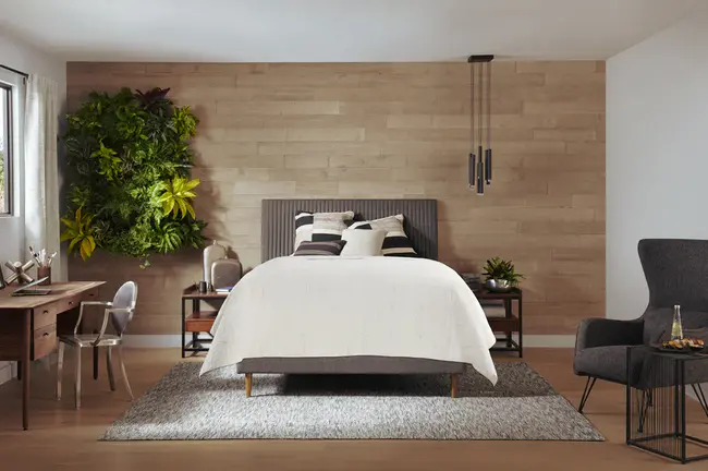 House Emergency, Love, and Peace : 家庭紧急，爱情和和平