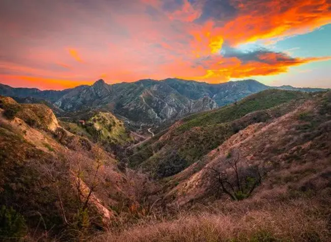 Watkins Park Nature Center : 沃特金斯公园自然中心