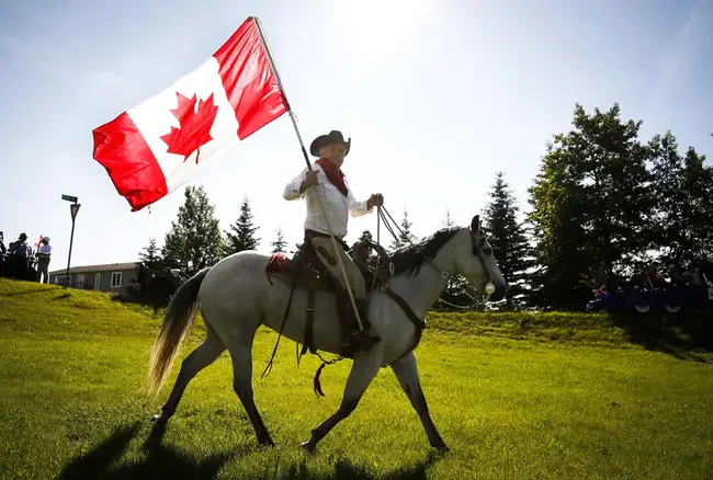 Canadian Horse Fan Club : 加拿大马迷俱乐部