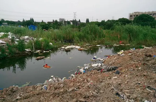 Water Pollution : 水污染