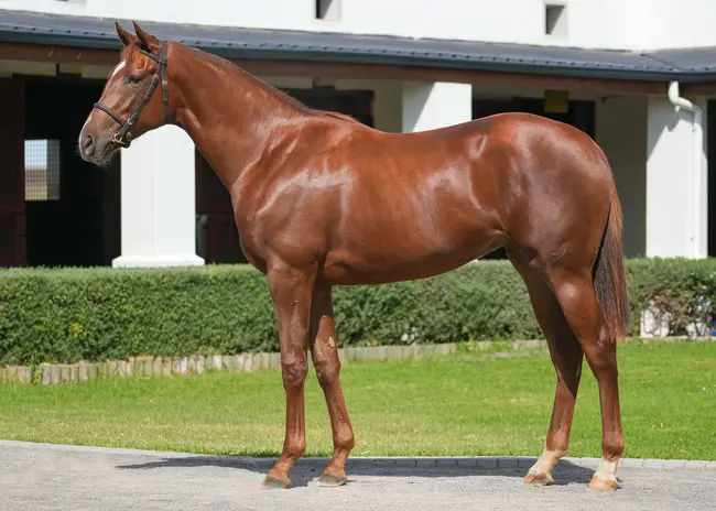 Distributed Weighted Fair Queuing : 分布式的加权公平队列