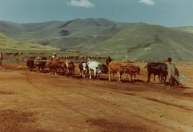 Pelaneng, Lesotho : 莱索托·佩兰