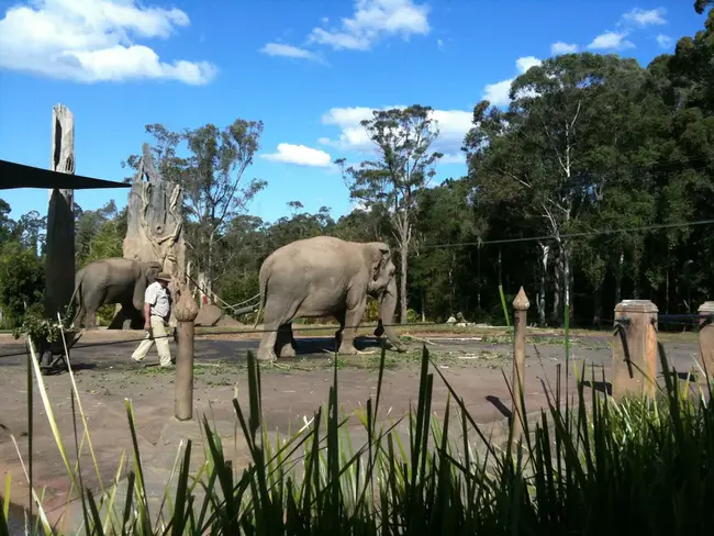 Woodland Park Zoo : 屋兰动物园