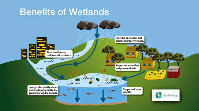 Wetland Quality Index : 湿地质量指数