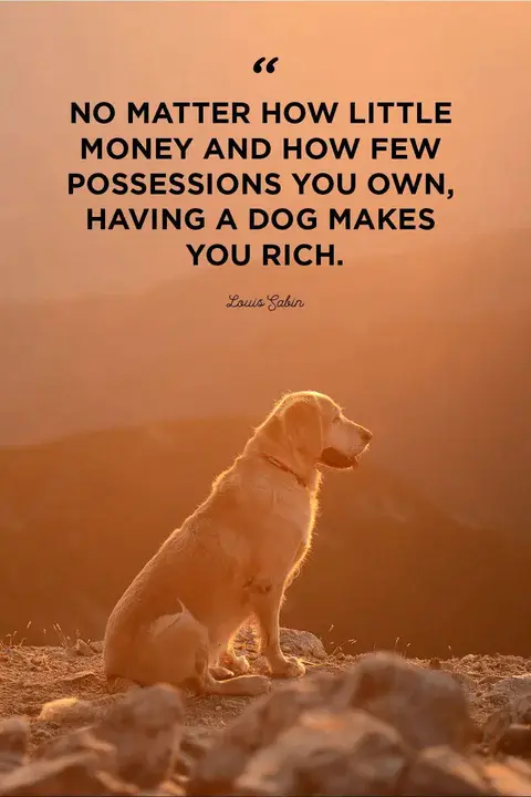 Outrageously Cute : 非常可爱