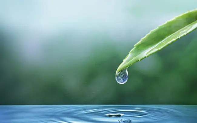 Water Quality Objectives Group : 水质目标组