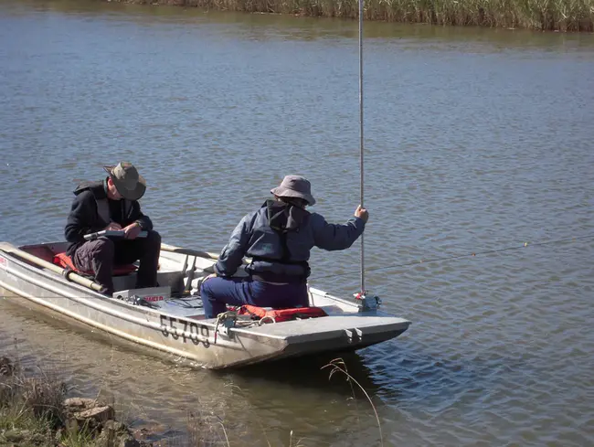 Surface Water Quality Standards : 地表水水质标准