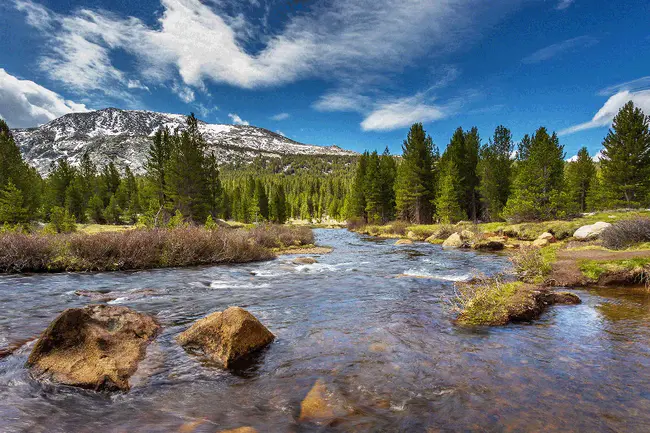 Upper Truckee River Focused Watershed Group : 上特鲁基河流域群