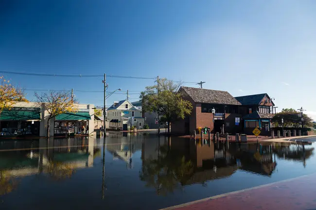 Flood Risk Management : 洪水风险管理