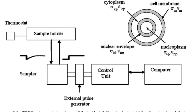 Electric-Pulse-Induced Resistance : 电脉冲感应电阻