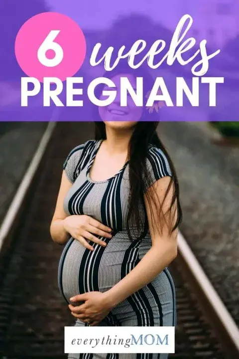 Pregnant Parenting Women : 怀孕育儿妇女