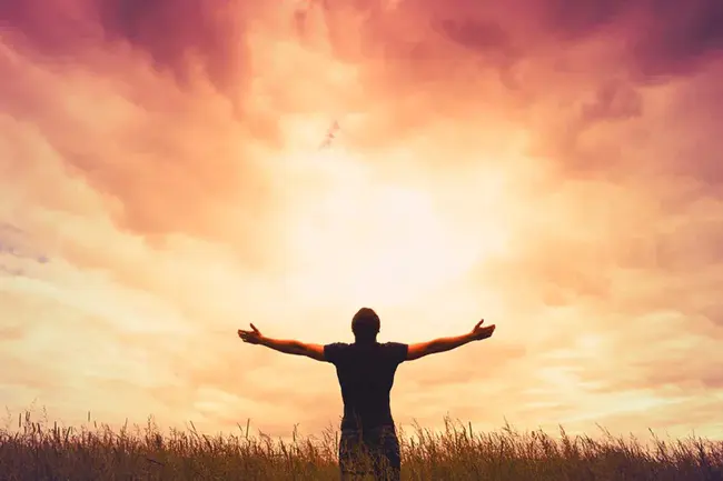 Pathwork Studies : 病理学研究