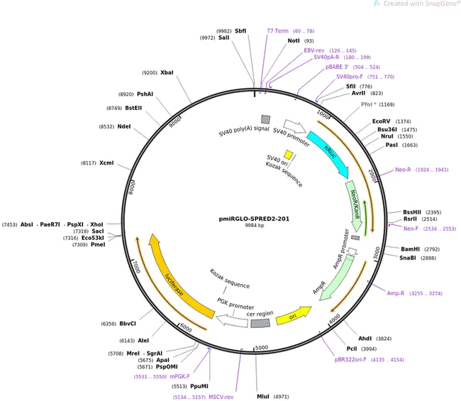 Grep Sort Map : GRP-排序映射