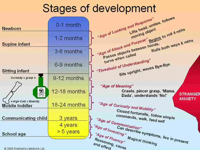 Developmental Period : 发育期