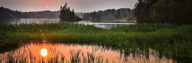 Wetlands Reserve Program : 湿地保护计划