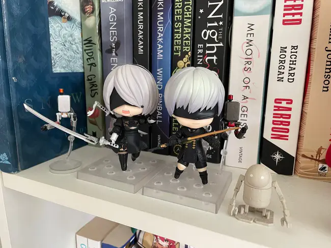 A Language for Programming Arbitrary Cellular Automata : 任意元胞自动机程序设计语言