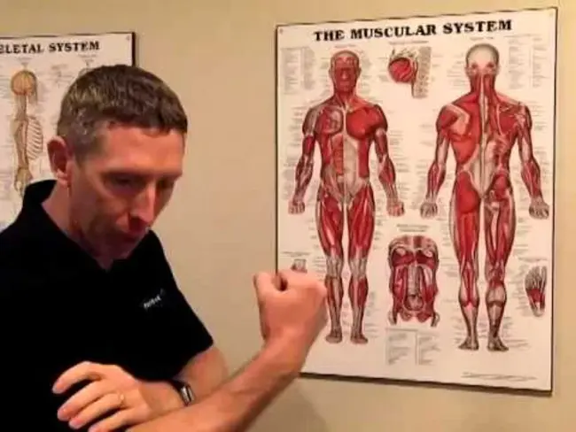 Pulmonary Function Testing : 肺功能测试