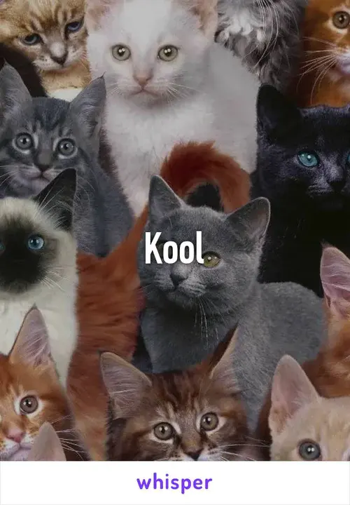 Kool Kolored Kats : 库尔·科洛德·凯茨