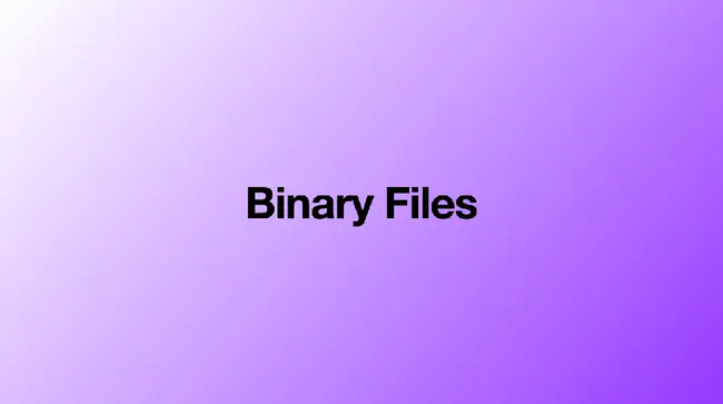 Binary Mesh File : 二进制网格文件