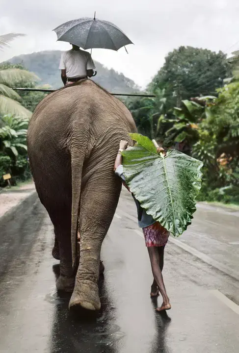 Walk Behind : 走在后面