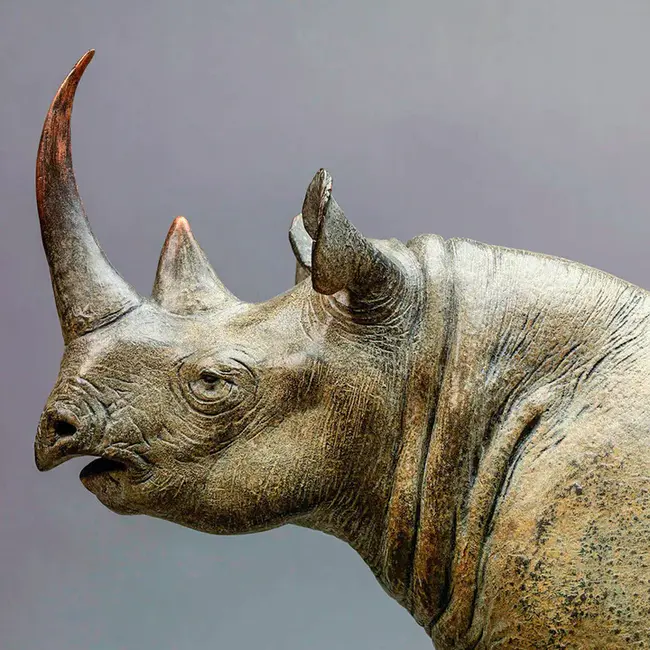 Mike Bibby : 麦克毕比