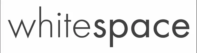 Whitespace Space : 空格