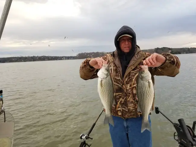 Norman, Oklahoma USA : 美国俄克拉荷马州诺曼