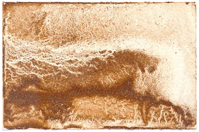 Water and Sediment Quality Study : 水沙质量研究