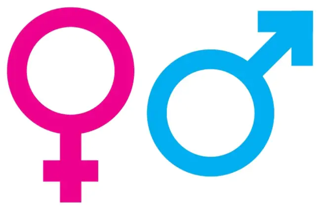 Women and Gender Studies : 妇女和性别研究