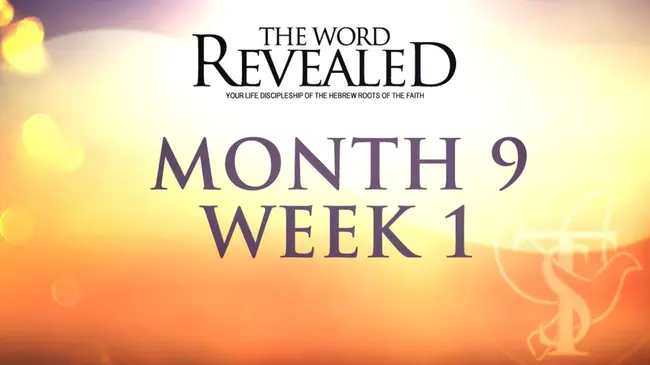 Words Of The Week : 本周词汇