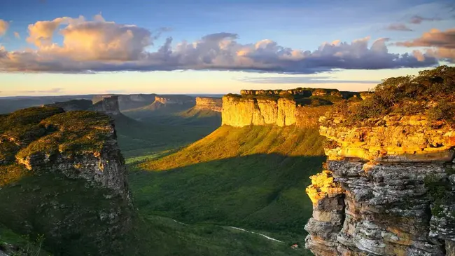 Reverse Bend : 反向弯曲