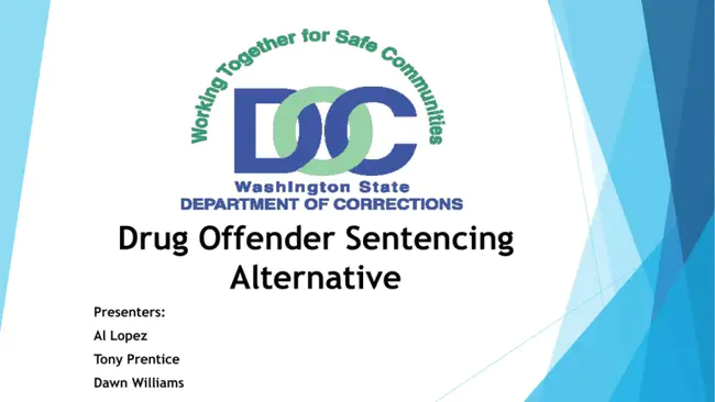 Drug Offender Sentencing Alternative : 毒品犯罪者判刑替代方案