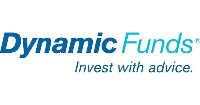 Dynamic Financial Analysis : 动态财务分析