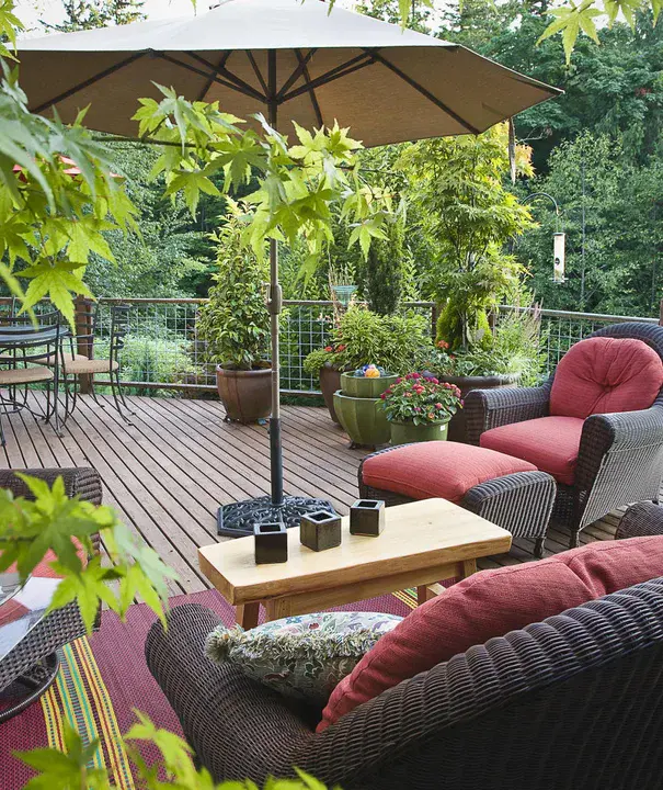 Protector Of The Realms : 领域保护者