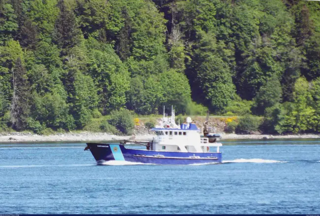 Compact Sport Utility Vehicle : 小型运动型多用途车