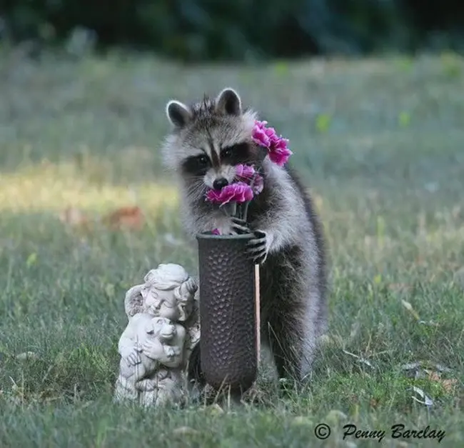 Most Specific : 最具体