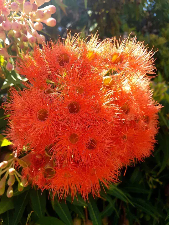 Water Tight Wishing Well : 水密许愿井