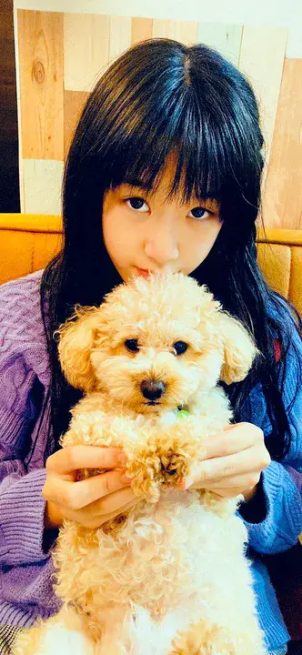 Cross Island YMCA : 跨岛基督教青年会