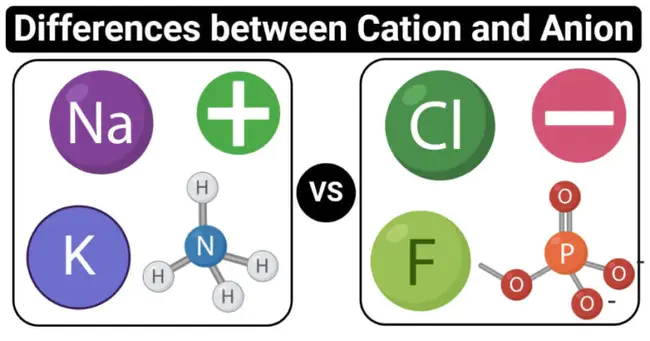 Cation-Anion Balance : 阳离子-阴离子平衡