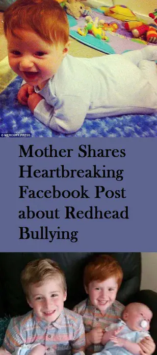Mothers Outraged By Bullying : 被欺负的母亲