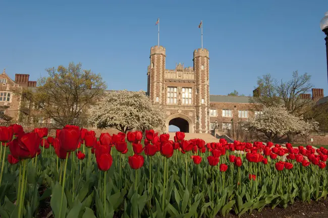 Washington University in St. Louis : 圣路易斯华盛顿大学