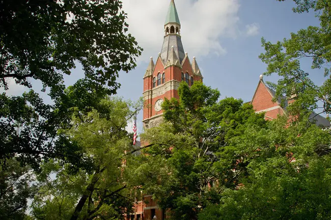 Wittenberg University Student Organization : 威登堡大学学生组织