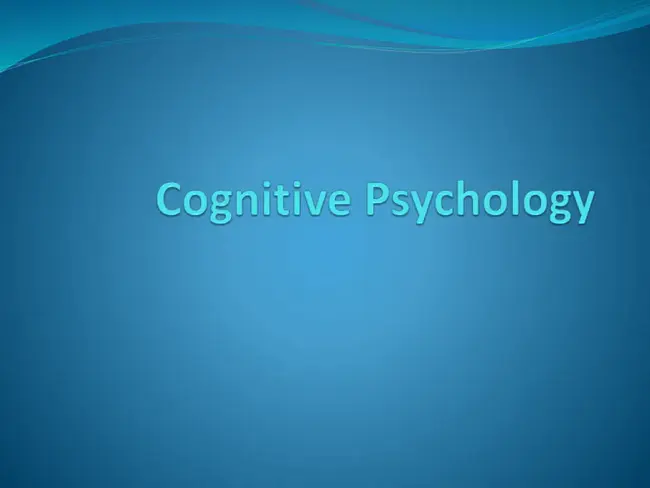 Cognitive Blank Therapy : 认知空白疗法