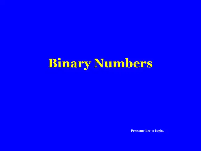 Binary Encoded Representation : 二进制编码表示