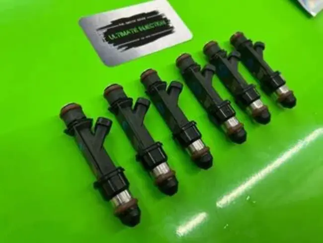 Fuel Injector Assembly : 喷油器总成