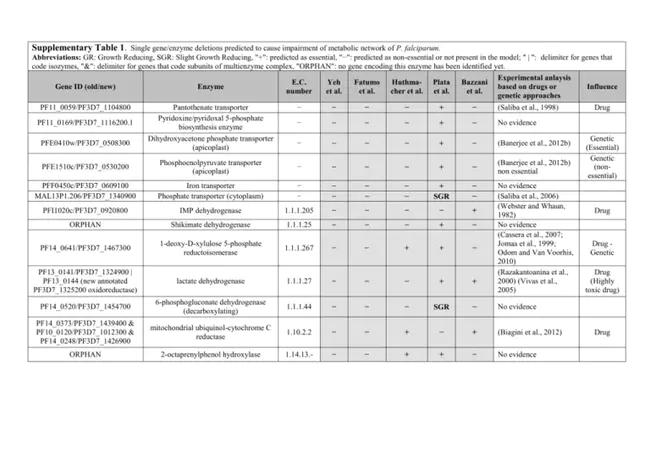 Derived Table : 导出表