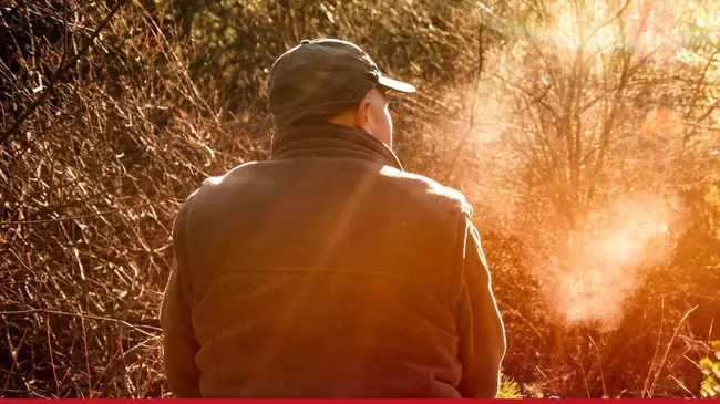 West Valley Design Group : 西谷设计集团