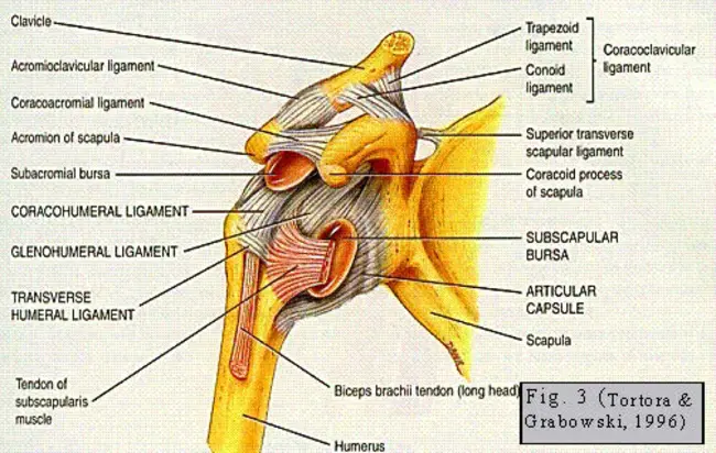 Mapped Diagnostic Context : 映射诊断环境